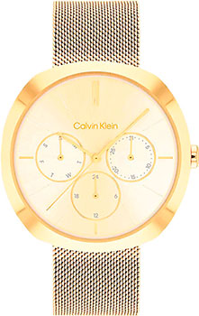 Часы Calvin Klein Multifunction 25200339